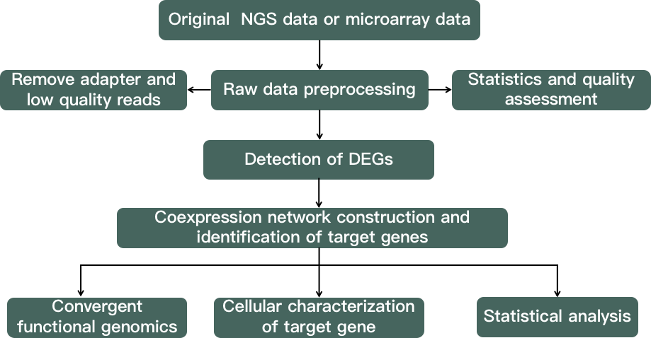  A flow chart demonstrating the gene co-expression interaction network analysis