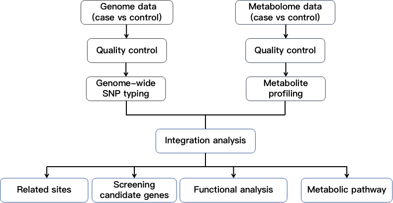 Flow chart showing genome and metabolome integration analysis. - CD Genomics.