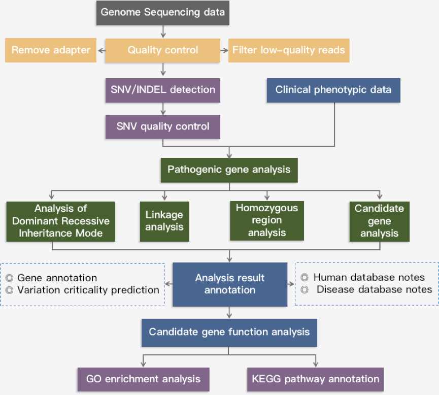 Schematic diagram of genomics data analysis process disease research