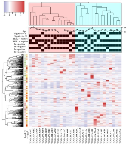 A heat map generated by heatmap3 based on 30 samples in the TCGA BRCA data set.