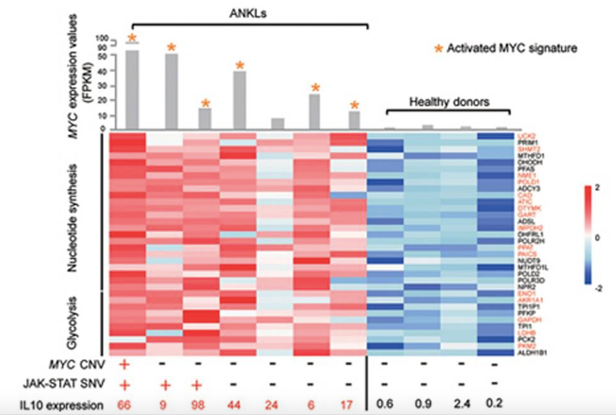 JAK/STAT-MYC and metabolic signatures in ANKL patients. The bar plot shows the mRNA expression level of MYC in ANKL patients and healthy donors. 