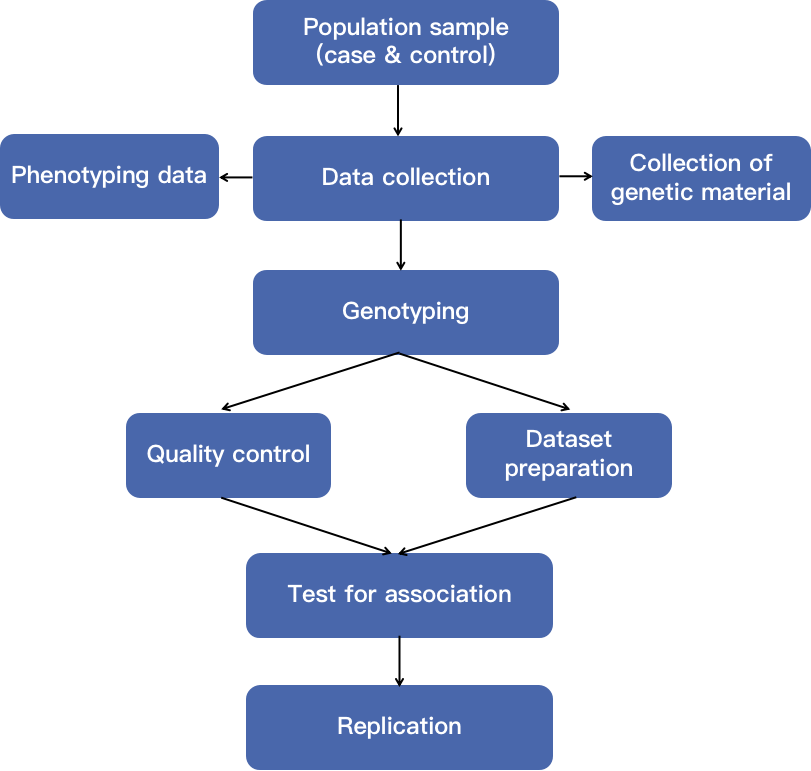 The figure shows the general steps for disease research GWAS-analysis. - CD Genomics.