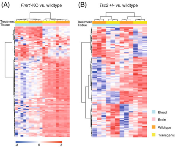 Agglomerative hierarchical clustering of blood and brain samples.