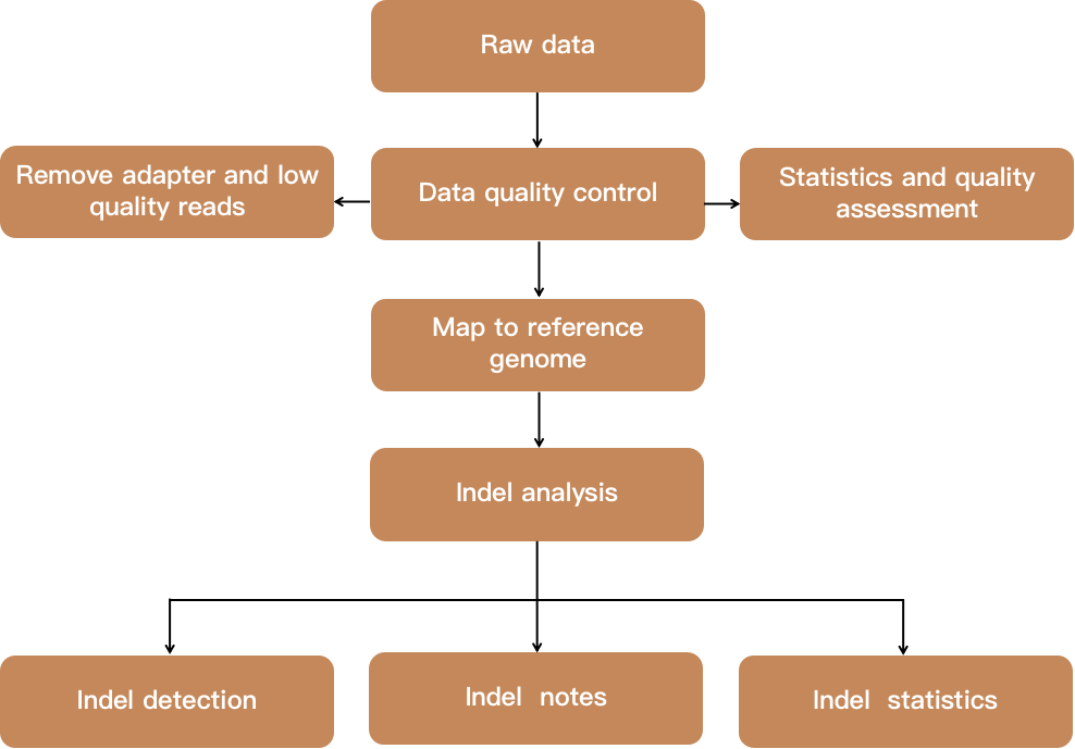 Flow chart showing indel analysis - CD Genomics.