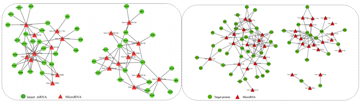 microRNA-target mRNA sub-network, and microRNA-target protein sub-network.