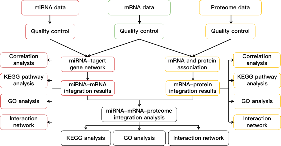 Flow chart showing miRNA, mRNA and protein integration analysis. - CD Genomics.