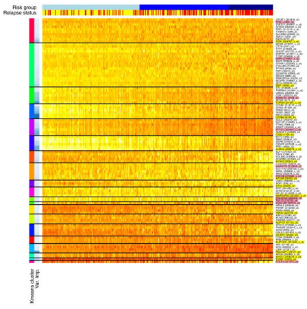 Heatmap showing top 100 probe sets after k-means clustering (k = 20).