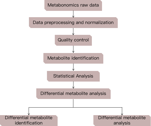 The figure shows the general process of metabolomics data analysis for disease research. - CD Genomics.