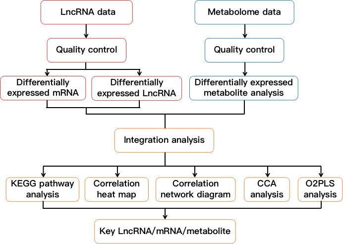 Flow chart showing lncRNA and metabolome integration analysis. - CD Genomics.