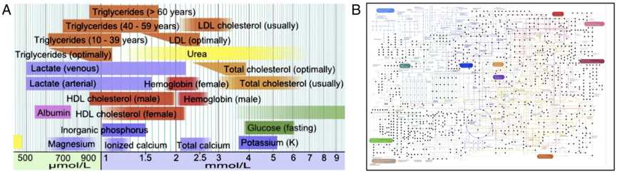 Metabolomics as a potential alternative to clinical blood test.