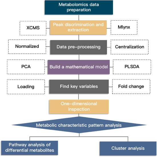 An example of CD Genomics' metabolomics data analysis process