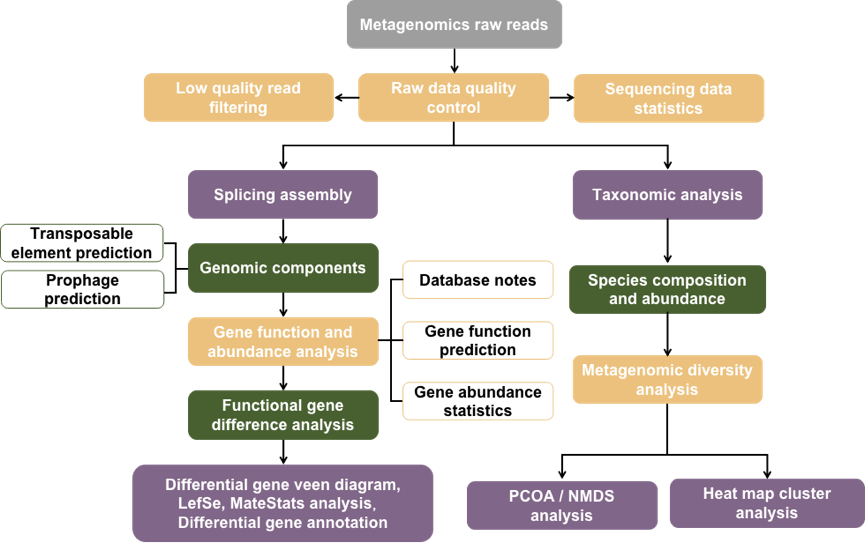 Metagenomics data analysis pipeline.