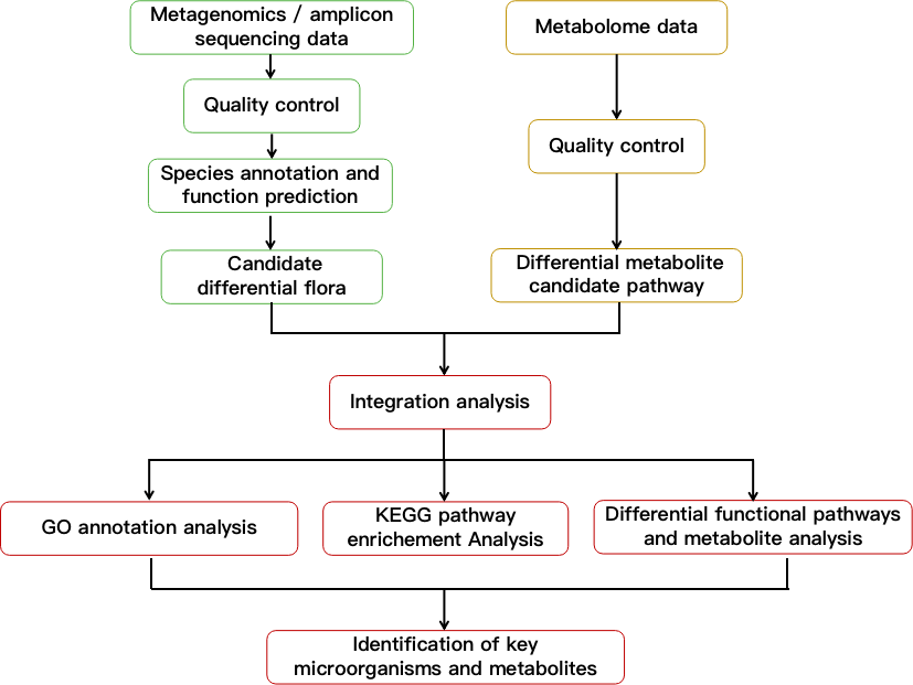 Flow chart showing microbiome and metabolome integration analysis. - CD Genomics.