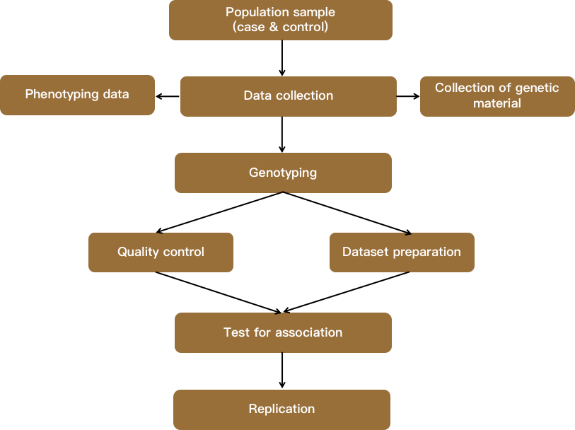 The figure shows the general steps for genome-wide association analysis. - CD Genomics.