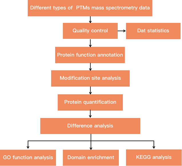 Protein post-translational modification analysis flow chart