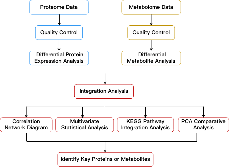 A flow chart showing our proteome and metabolome integration analysis. - CD Genomics.