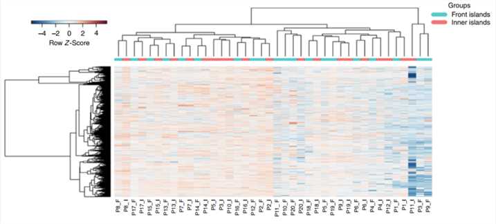 Clustering analysis of proteins identified in the ITF and the inner tumor of neoplastic islands (n = 20 samples).