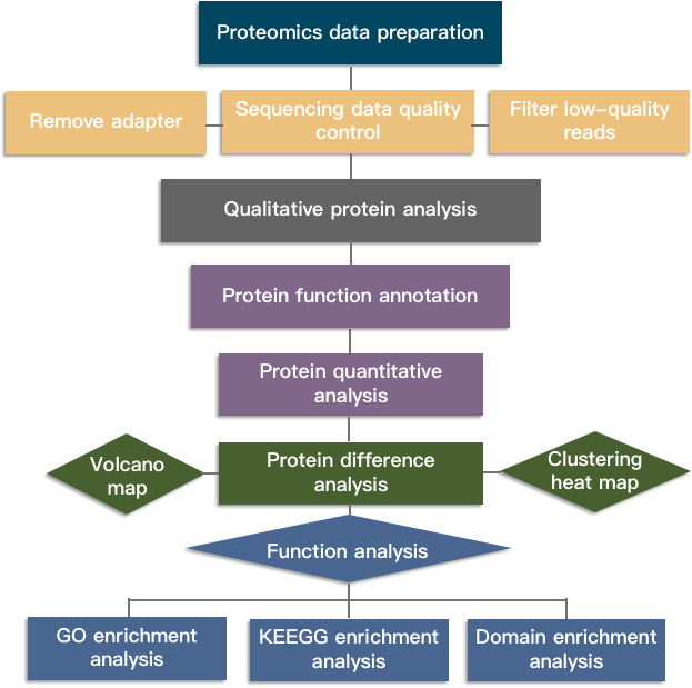 CD Genomics proteomics data analysis process.