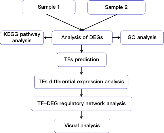 Flow chart demonstrating TF-DEGs regulatory network analysis 