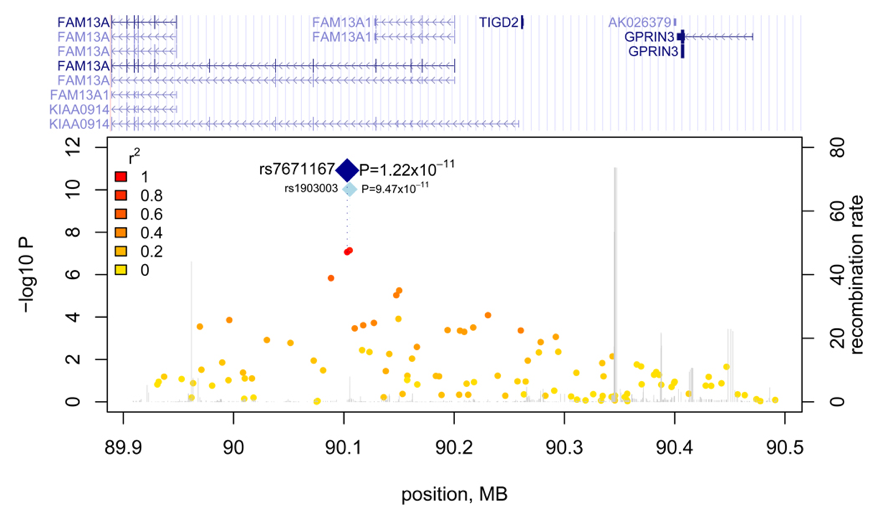 Variants in FAM13A are associated with chronic obstructive pulmonary disease. This figure shows the regional correlation diagram of the signal at the FAM13A locus.