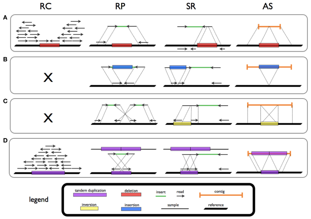 Signatures and patterns of SVs for deletion (A), novel sequence insertion (B), inversion (C), and tandem duplication (D) in read count (RC), read-pair (RP), split-read (SR), and de novo assembly (AS) methods.