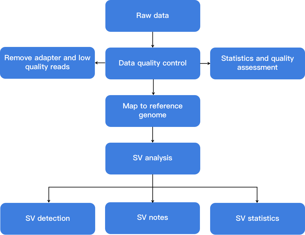 Flow chart showing SV analysis - CD Genomics.