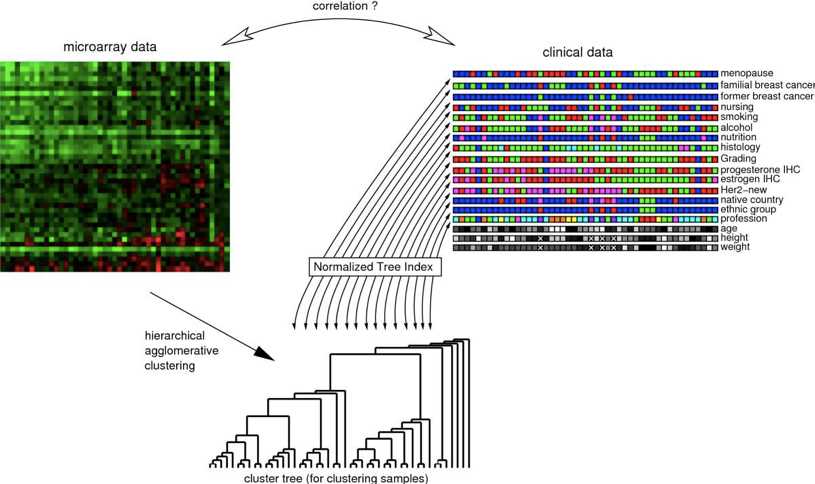 The Normalized Tree Index (NTI) is used to compute a correlation coefficient between the clustering result (tree structure) of high-dimensional primary data (microarray data) and associated nominal labels of secondary data (clinical parameters).