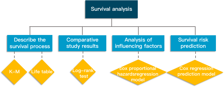 The purpose of survival analysis.