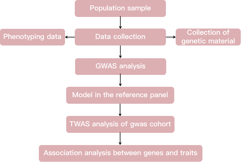 Transcriptome-wide association analysis pipeline. - CD Genomics.