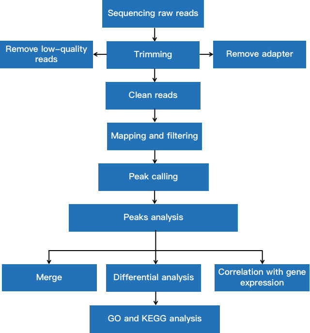 Transcription factor binding site bioinformatics analysis pipeline.