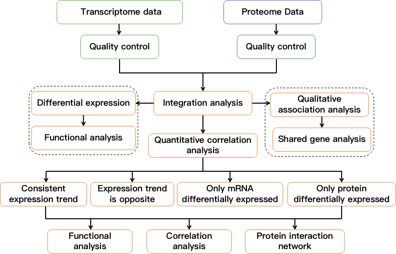 Flow chart showing transcriptome and proteome integration analysis. - CD Genomics.