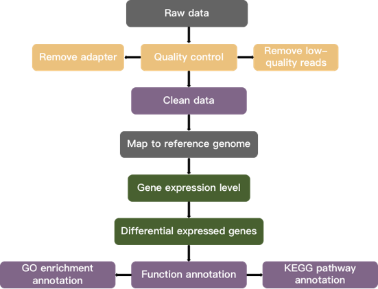 RNA-seq data analysis pipeline. 