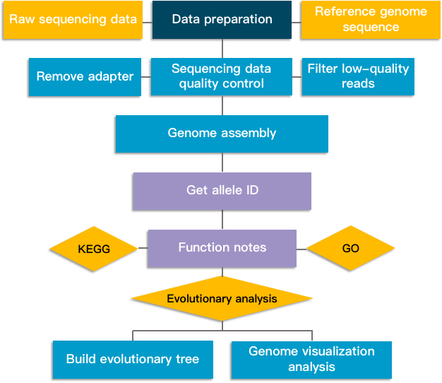 Whole genome multilocus sequence typing analysis pipeline. 