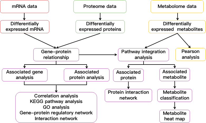 A flow chart showing mRNA, protein and metabolite integration analysi - CD Genomics.