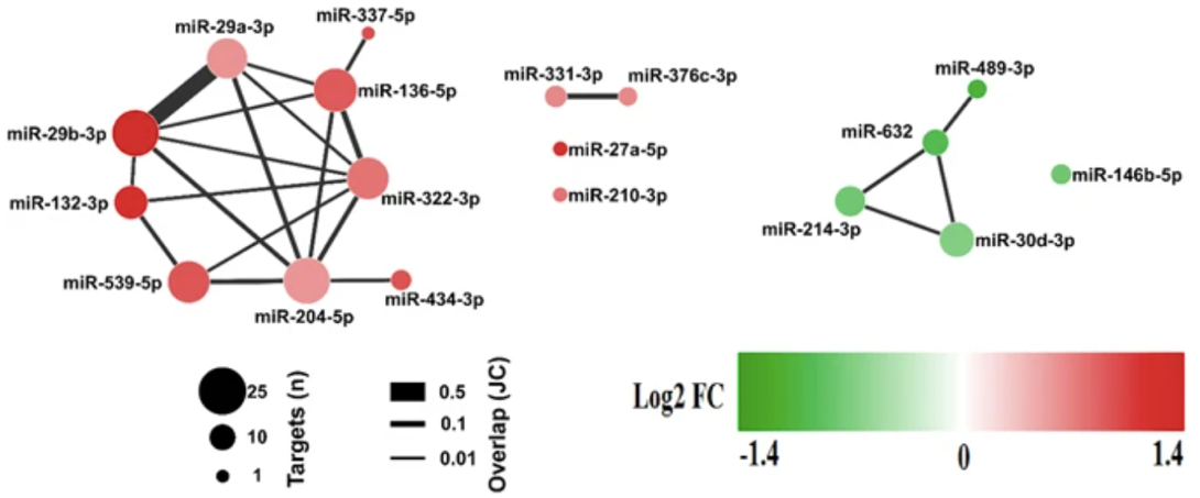 Two distinct sub-networks miRNA-mRNA deregulated in cardiac cachexia.