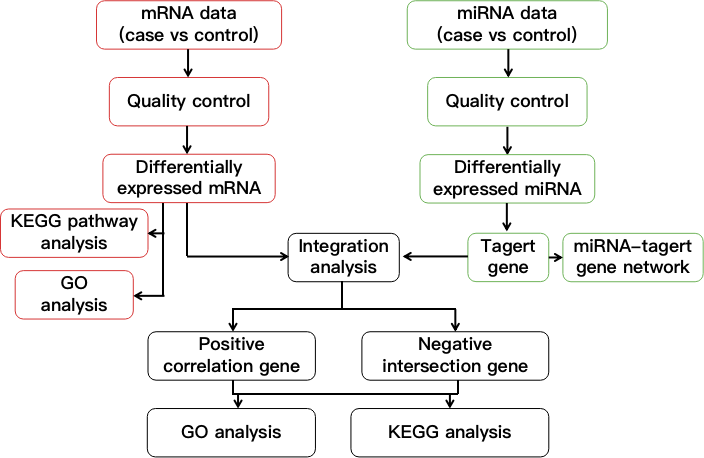 Flow chart showing miRNA and mRNA integration analysis. - CD Genomics.