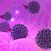HPV Nucleic Acid