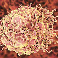 Oncology ctDNA