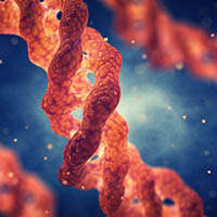Homologous Recombination