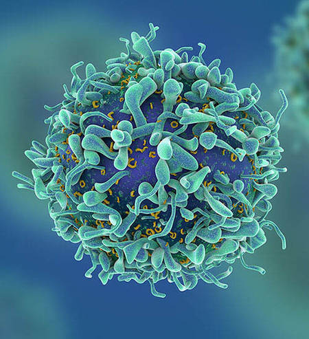 Custom Cancer Hotspot Panel