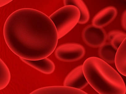 Custom Thrombocytopenia Panel