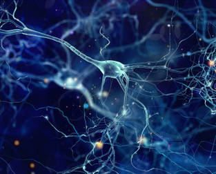 Custom Alzheimer's Disease Panel