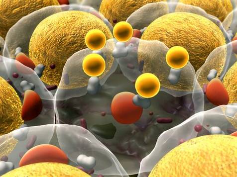 Custom Lysosomal Storage Disorders Panel