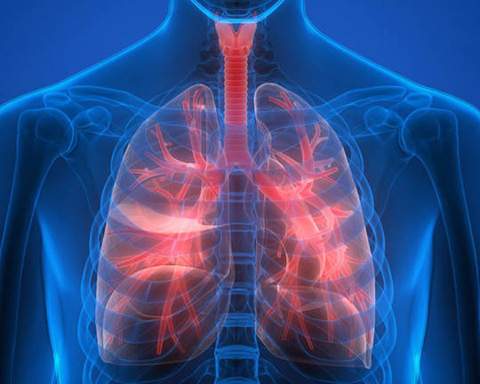 Custom Cystic Fibrosis Panel