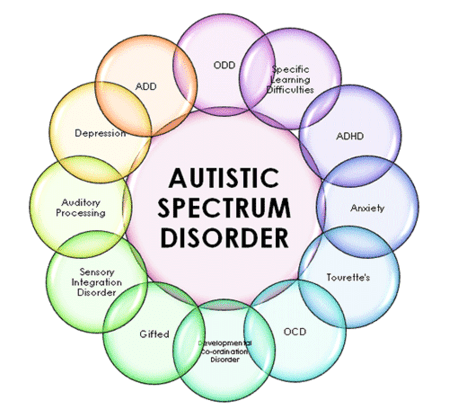 Custom Autism Spectrum Disorders Panel