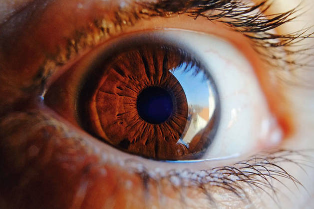 Custom Glaucoma Panel