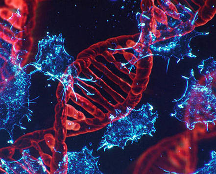 Pan-Cancer Panel Sequencing