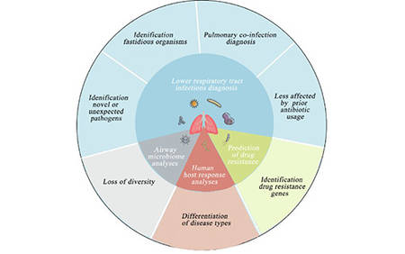 Metagenomic next-generation sequencing (mNGS) in Respiratory and Lung Pathogen and Disease Research
