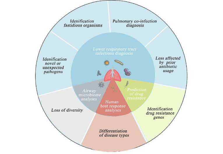 Applications of mNGS in the area of lower respiratory tract infections.