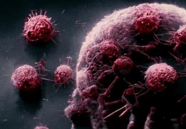 Cancer Real-Time PCR Kits 